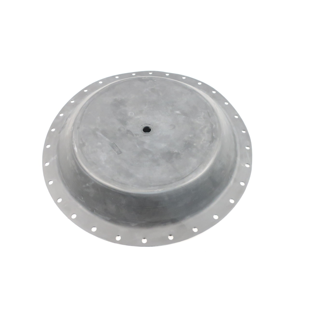 5-09-RPP 20in Valve Diaphragm