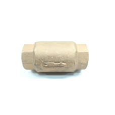 19V Bronze Check Valve 1in Npt