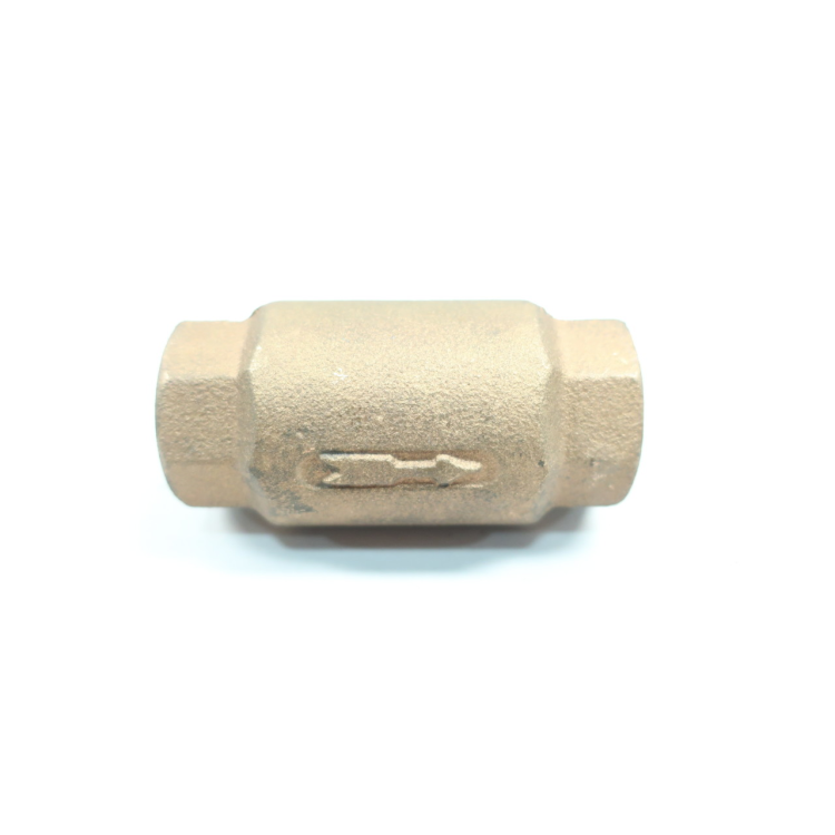19V Bronze Check Valve 1in Npt